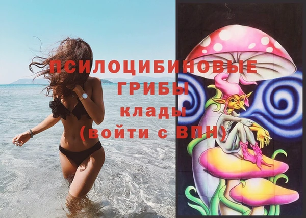 метамфетамин Аркадак