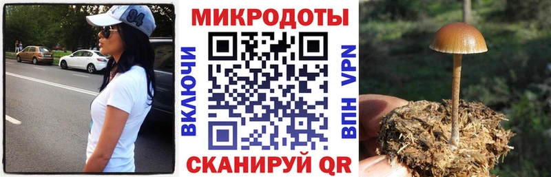Псилоцибиновые грибы прущие грибы  ОМГ ОМГ рабочий сайт  Фрязино 